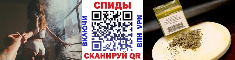 shop состав  Пудож  Бутират бутик 