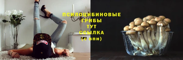спайс Абинск