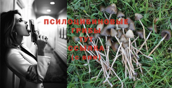 спайс Абинск