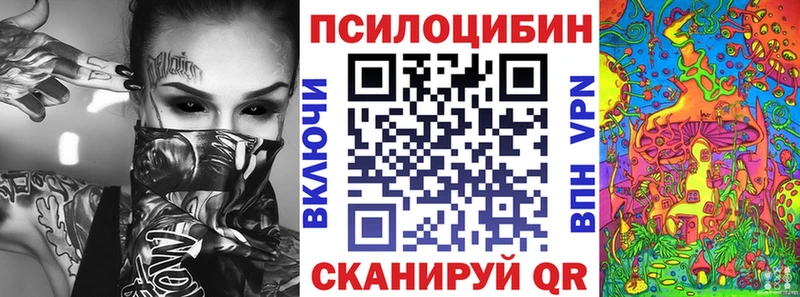 купить закладку  Пудож  Галлюциногенные грибы Psilocybine cubensis 